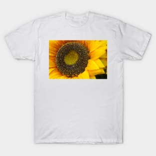 Sunflower T-Shirt